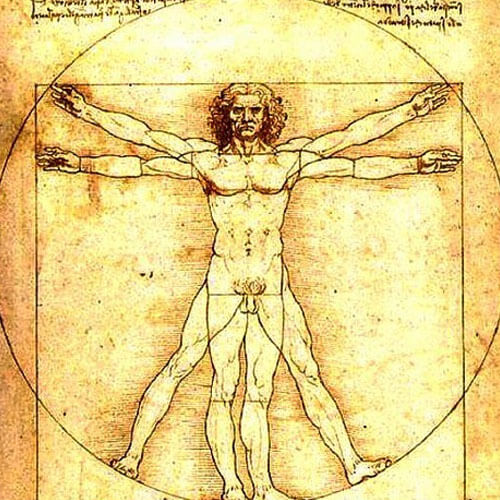 Da Vinci emberi arányok rajza